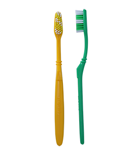 Regular Season Toothbrush